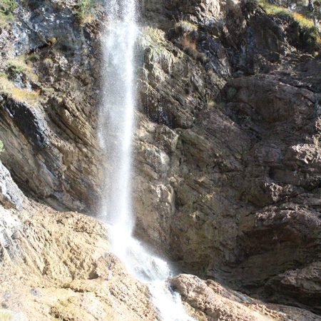 Hundetreffen 2016 im Allgäu (8)